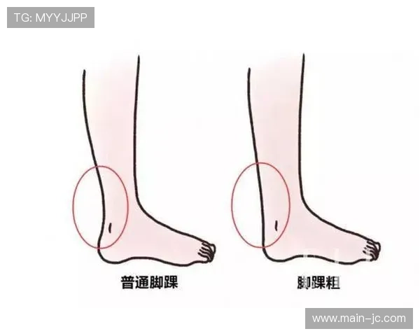 哈克斯脚踝扭伤待评估，斯波赞其决策能力提升