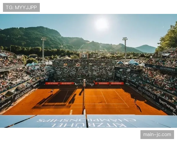 海登海姆主场比赛因球迷向场内投掷网球短暂中断，抗议票价上涨